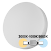 LED ceiling lamp 18W/24W/30W, CCT 3000K/4000K/5000K, 220V-240V AC, IK08, white, round, IP54
